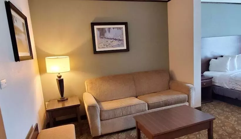 スイート, Best Western Plus Emory At Lake Fork Inn & Suites