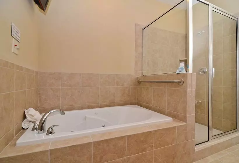 スイート, Best Western Plus Emory At Lake Fork Inn & Suites