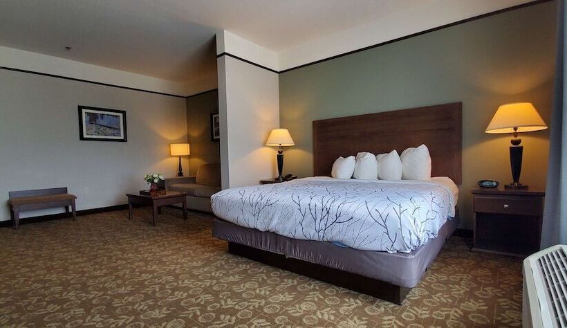 スイート, Best Western Plus Emory At Lake Fork Inn & Suites