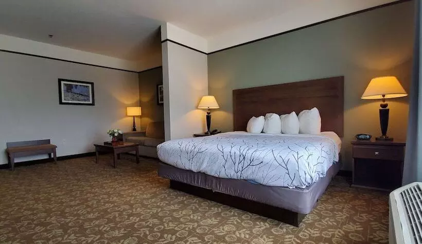 スイート, Best Western Plus Emory At Lake Fork Inn & Suites