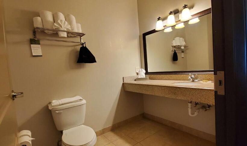 スタンダードルーム, Best Western Plus Emory At Lake Fork Inn & Suites