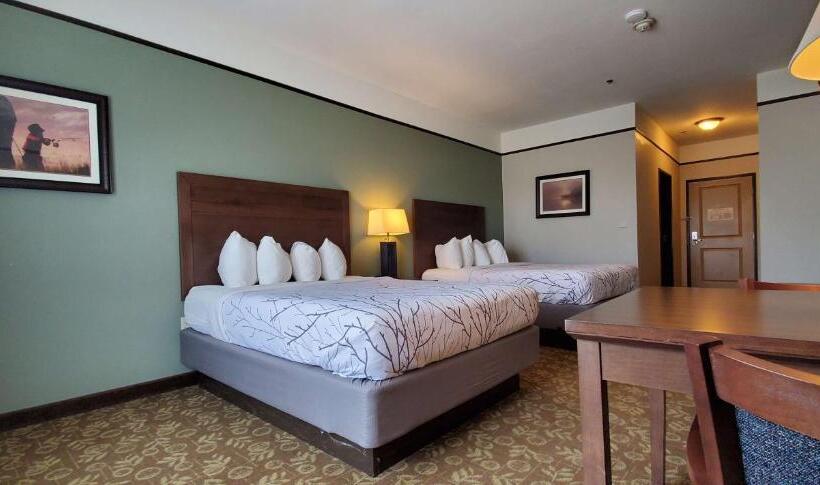 标准间, Best Western Plus Emory At Lake Fork Inn & Suites