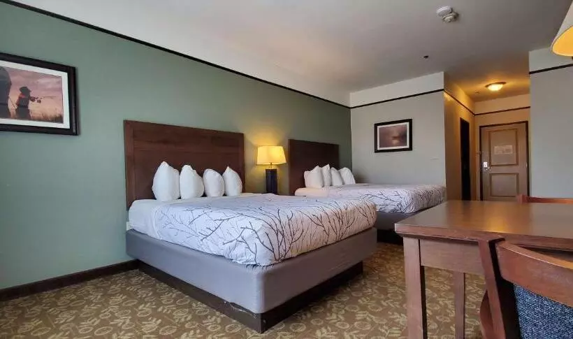 スタンダードルーム, Best Western Plus Emory At Lake Fork Inn & Suites