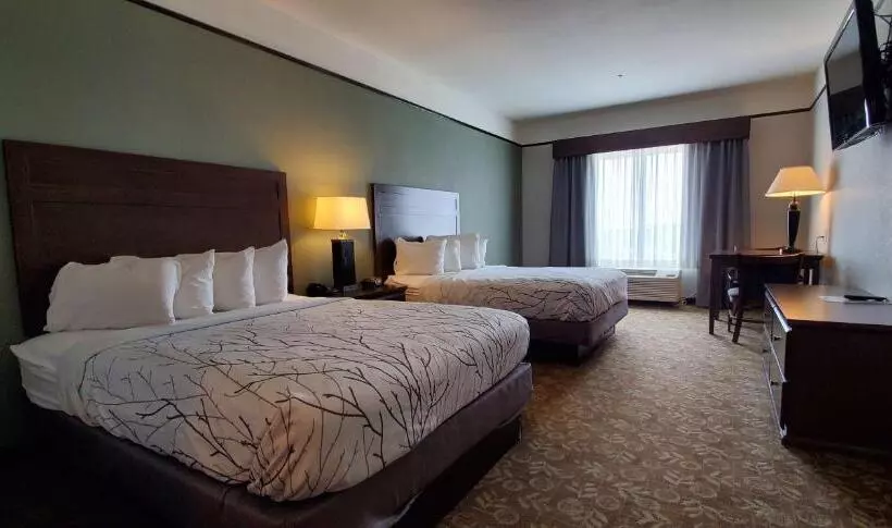 スタンダードルーム, Best Western Plus Emory At Lake Fork Inn & Suites