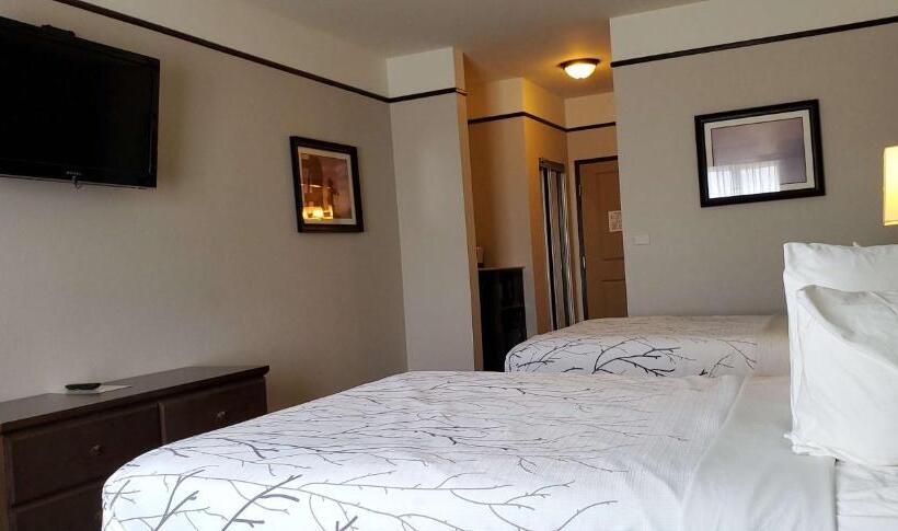 スタンダードルーム, Best Western Plus Emory At Lake Fork Inn & Suites