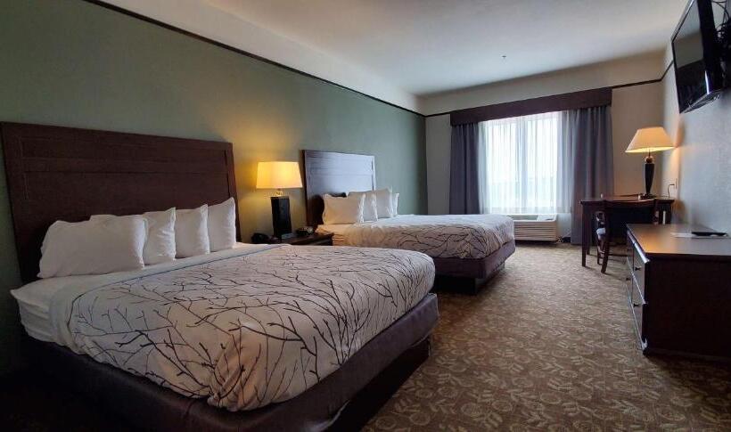 スタンダードルーム, Best Western Plus Emory At Lake Fork Inn & Suites