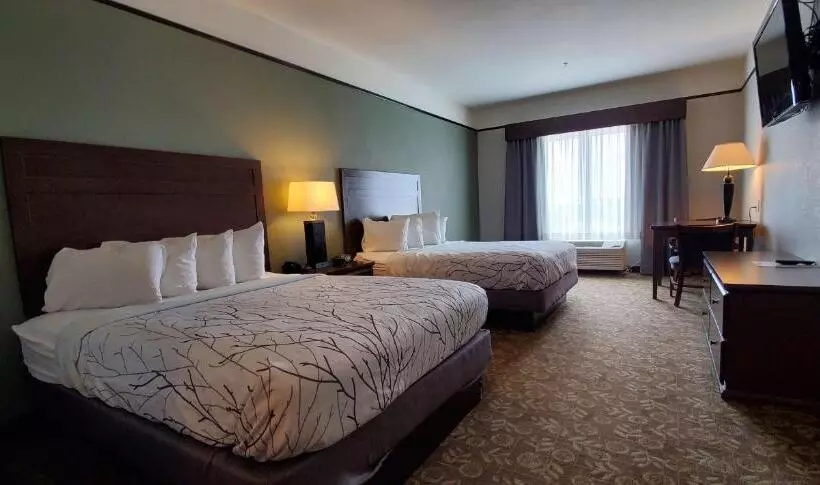 スタンダードルーム, Best Western Plus Emory At Lake Fork Inn & Suites