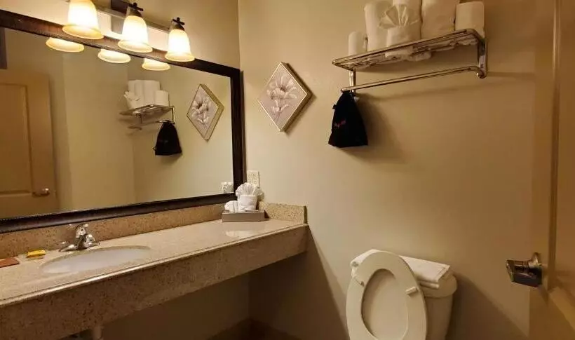 スタンダードルーム, Best Western Plus Emory At Lake Fork Inn & Suites