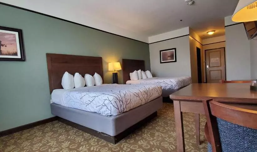 スタンダードルーム, Best Western Plus Emory At Lake Fork Inn & Suites