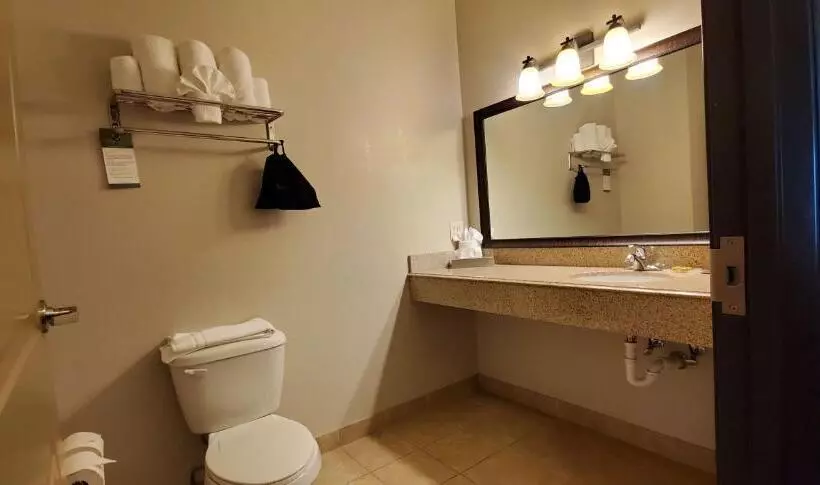 キングサイズベッドのスタンダードルーム, Best Western Plus Emory At Lake Fork Inn & Suites