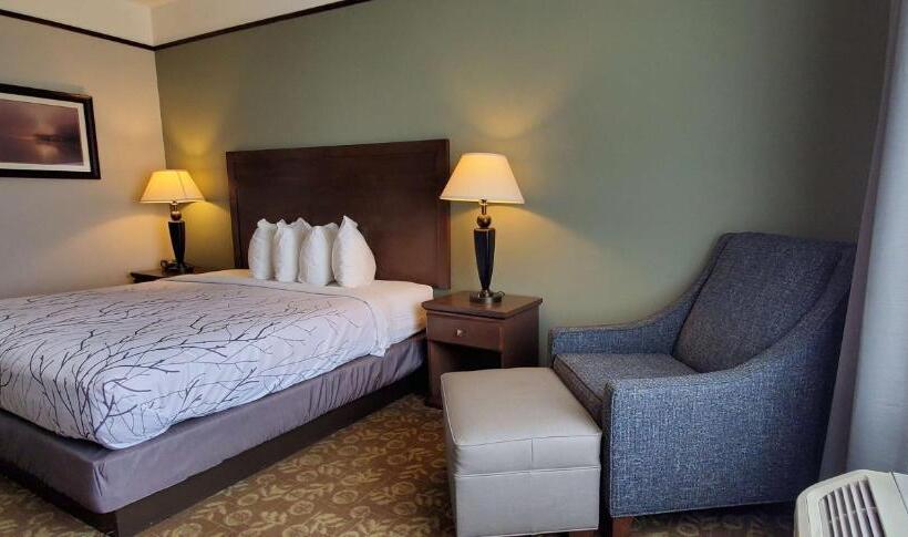 带大床的标准间, Best Western Plus Emory At Lake Fork Inn & Suites