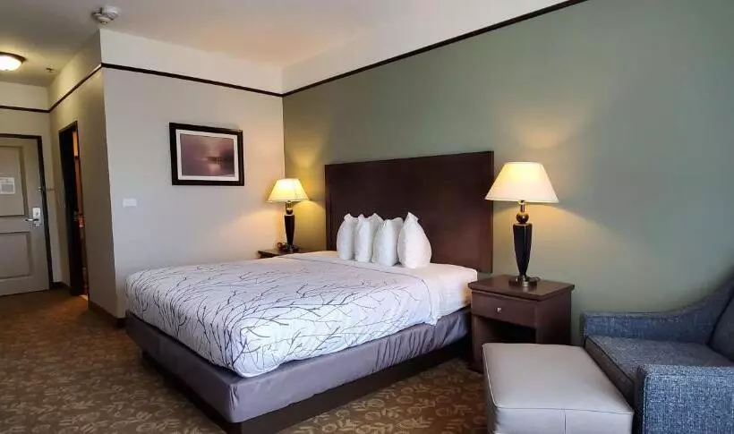 キングサイズベッドのスタンダードルーム, Best Western Plus Emory At Lake Fork Inn & Suites