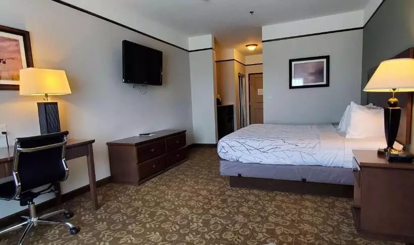 キングサイズベッドのスタンダードルーム, Best Western Plus Emory At Lake Fork Inn & Suites