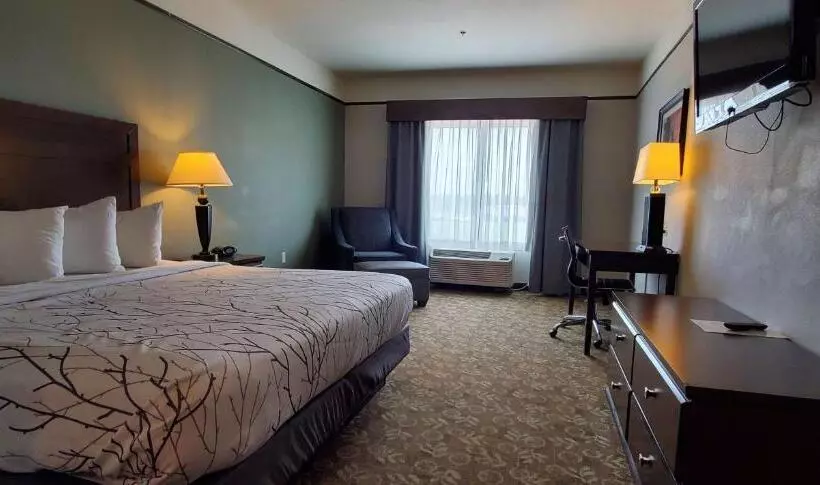 キングサイズベッドのスタンダードルーム, Best Western Plus Emory At Lake Fork Inn & Suites