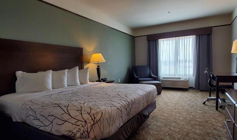 带大床的标准间, Best Western Plus Emory At Lake Fork Inn & Suites