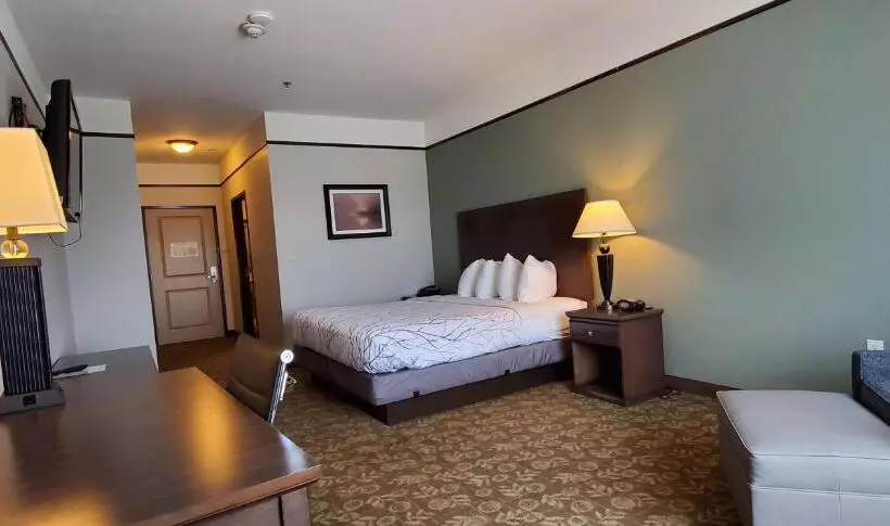 キングサイズベッドのスタンダードルーム, Best Western Plus Emory At Lake Fork Inn & Suites