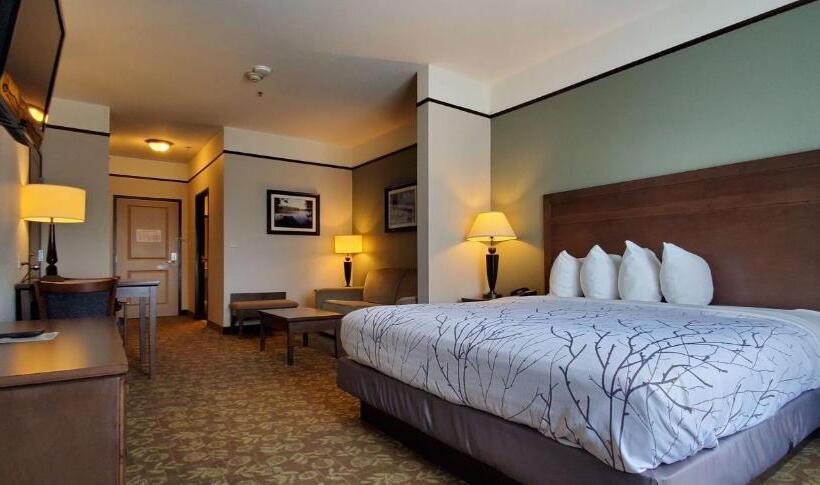 スイート, Best Western Plus Emory At Lake Fork Inn & Suites