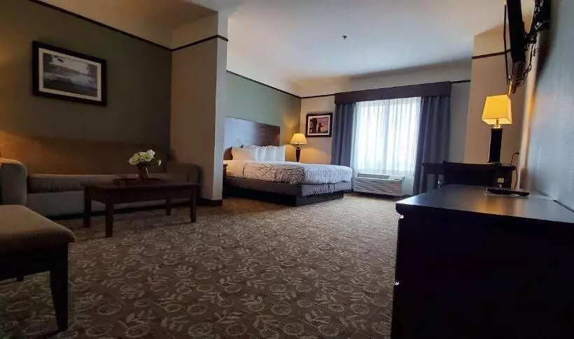 スイート, Best Western Plus Emory At Lake Fork Inn & Suites