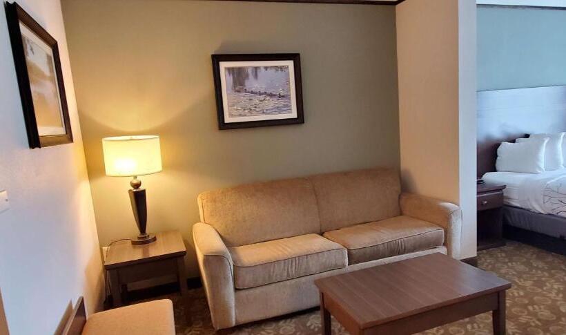 スイート, Best Western Plus Emory At Lake Fork Inn & Suites