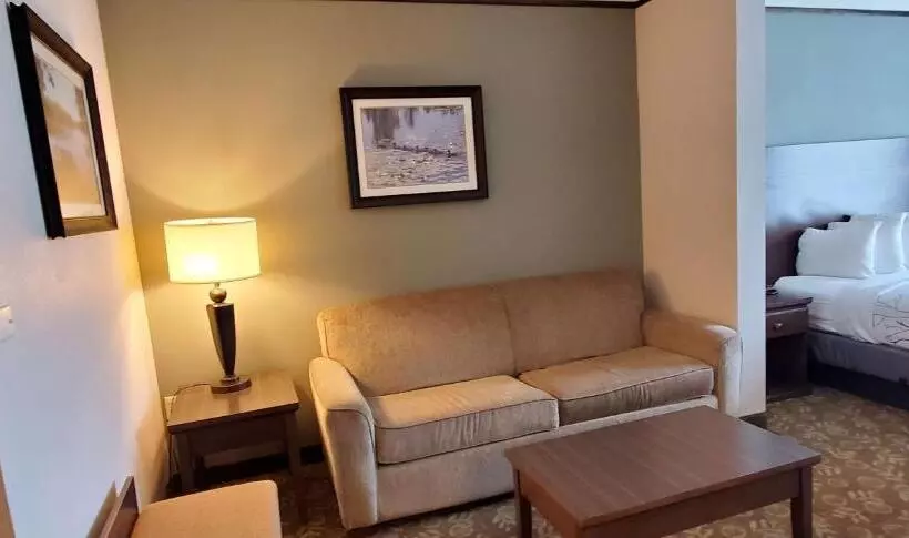 スイート, Best Western Plus Emory At Lake Fork Inn & Suites