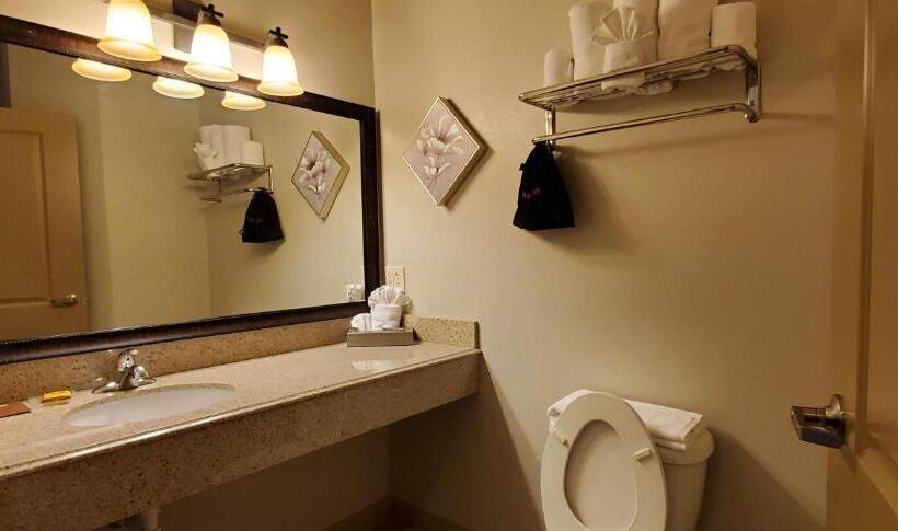 套房, Best Western Plus Emory At Lake Fork Inn & Suites