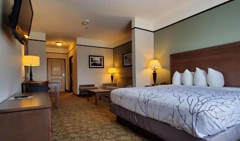 スイート, Best Western Plus Emory At Lake Fork Inn & Suites