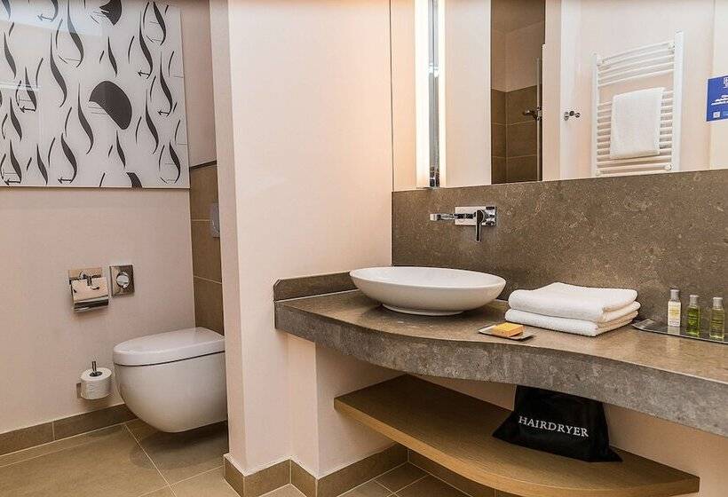 חדר דלוקס עם נוף, Doubletree By Hilton Hotel Oradea