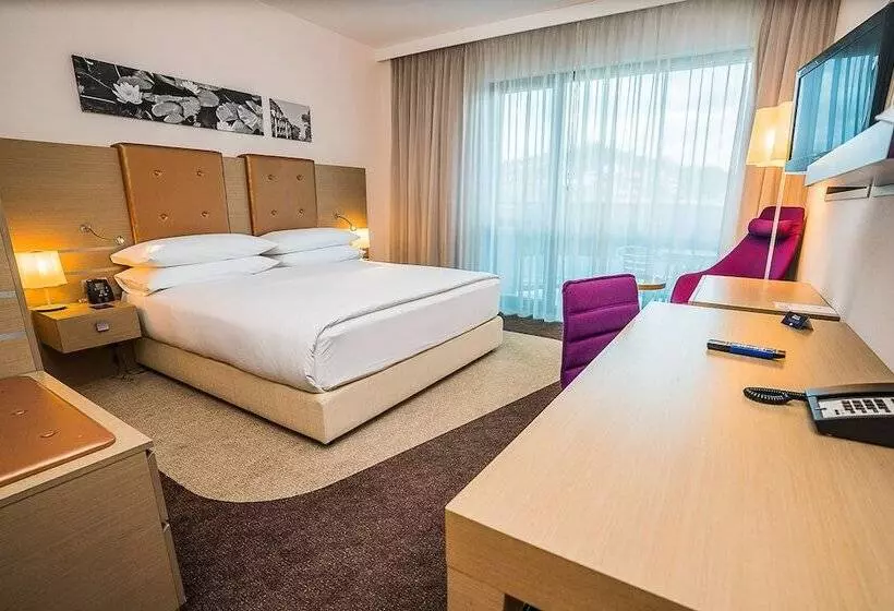 景色の見えるデラックスルーム, Doubletree By Hilton Hotel Oradea