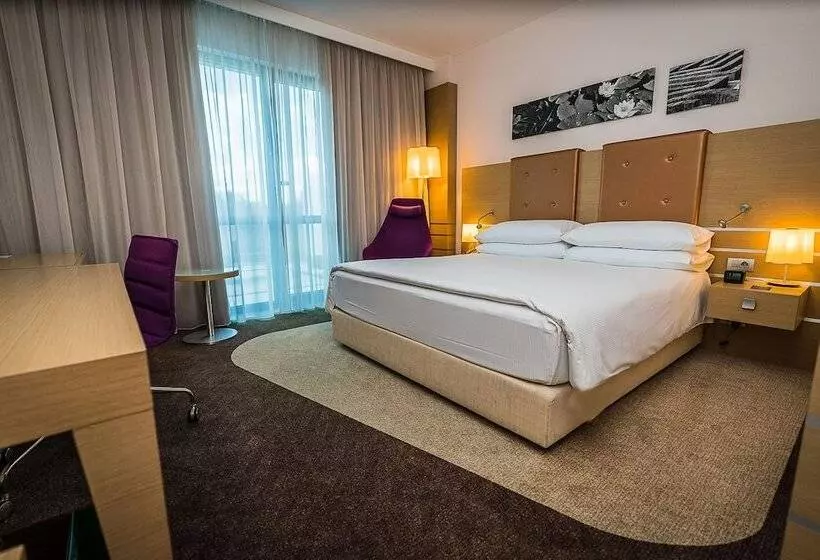 景色の見えるデラックスルーム, Doubletree By Hilton Hotel Oradea