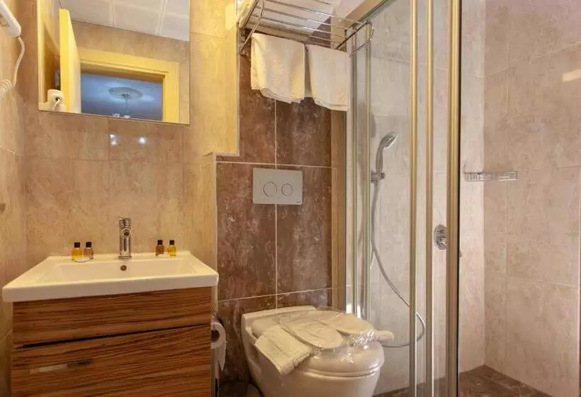 اتاق لوکس یک تخته, Ozmen Hotel Old Town Kaleiçi Adult Only