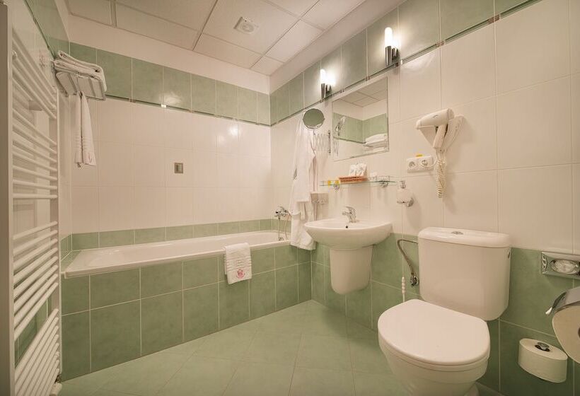 Номер Стандарт Трехместный, Podhrad