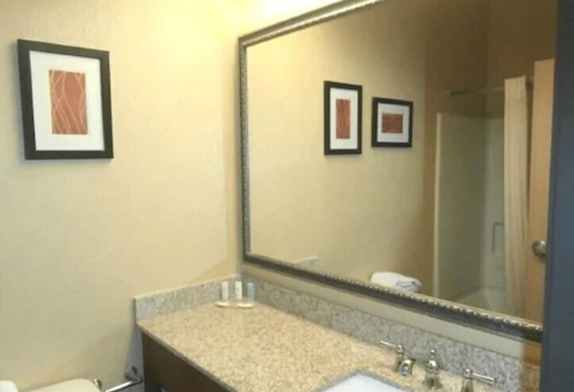 חדר סטנדרט שתי מיטות זוגיות, Quality Inn & Suites Bethany