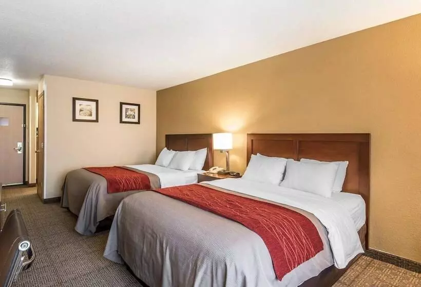 ２ダブルベッドのスタンダードルーム, Quality Inn & Suites Bethany