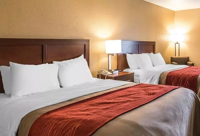 ２ダブルベッドのスタンダードルーム, Quality Inn & Suites Bethany