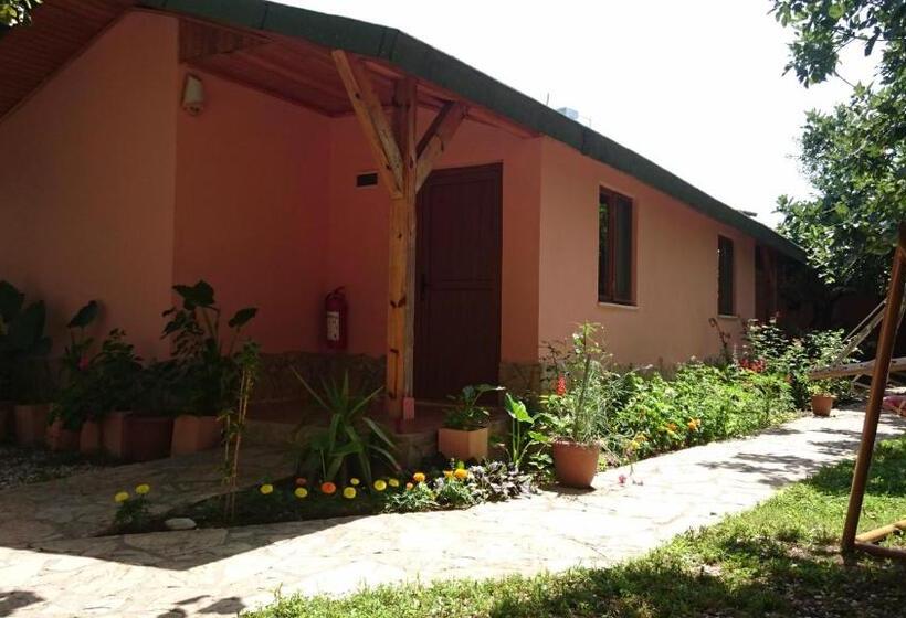 اتاق استاندارد, Sera Pansiyon