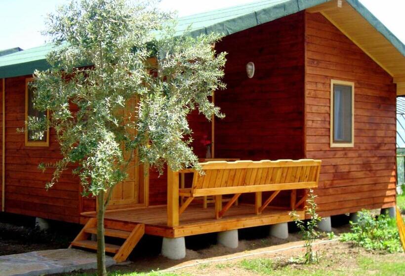 بانگلوی استاندارد, Sera Pansiyon