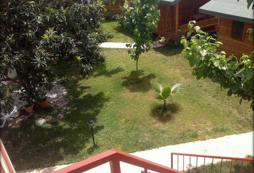 آپارتمان 2 خوابه, Sera Pansiyon