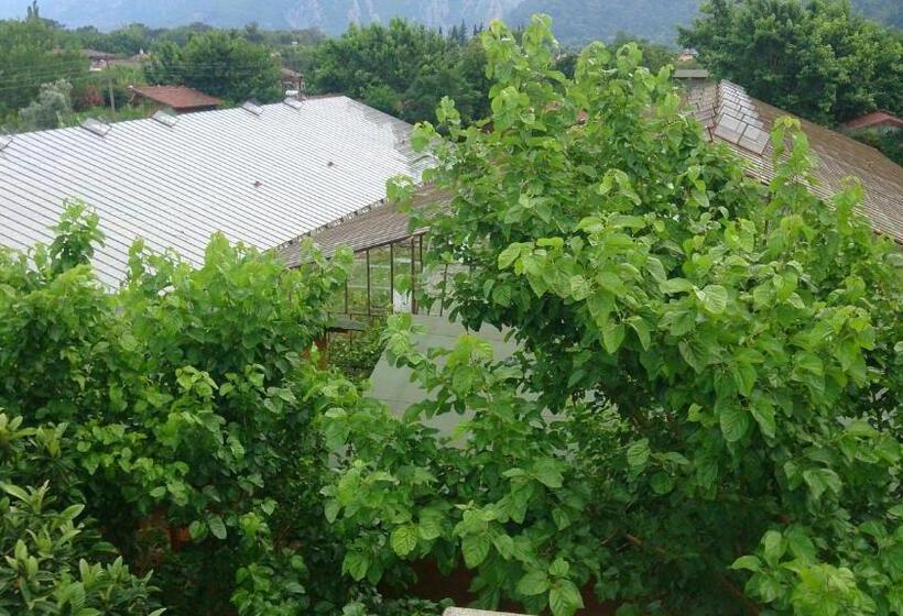 Апартаменты 2 Спальни, Sera Pansiyon