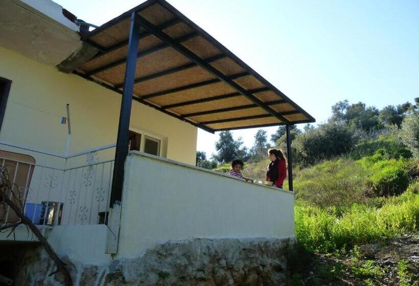 اتاق خانوادگی, Rose Hotel B&b