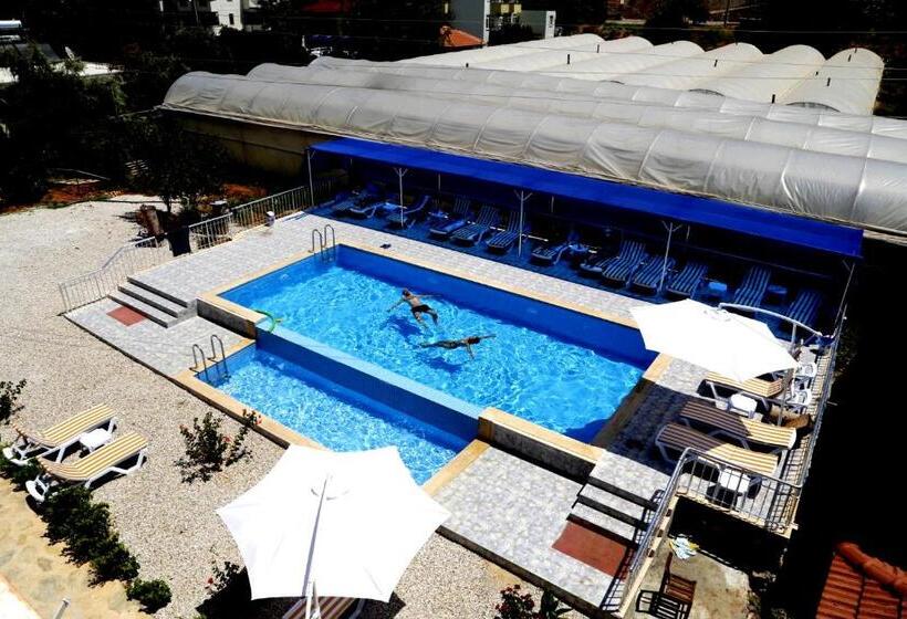 اتاق خانوادگی, Rose Hotel B&b