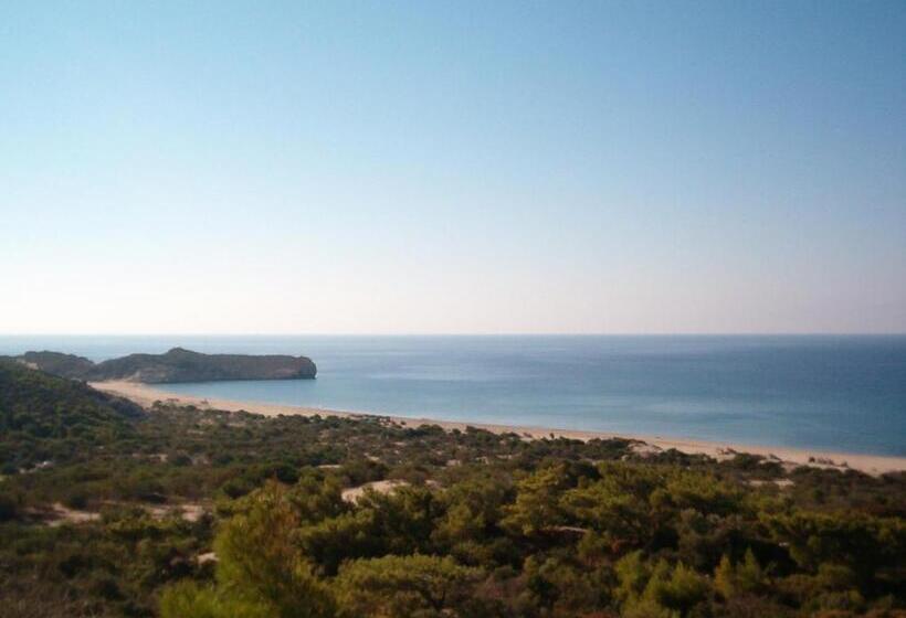 اتاق خانوادگی, Rose Hotel B&b