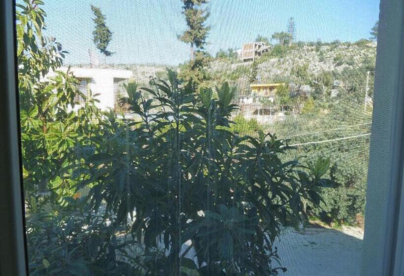 اتاق خانوادگی, Rose Hotel B&b