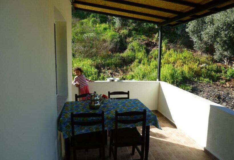 اتاق خانوادگی, Rose Hotel B&b