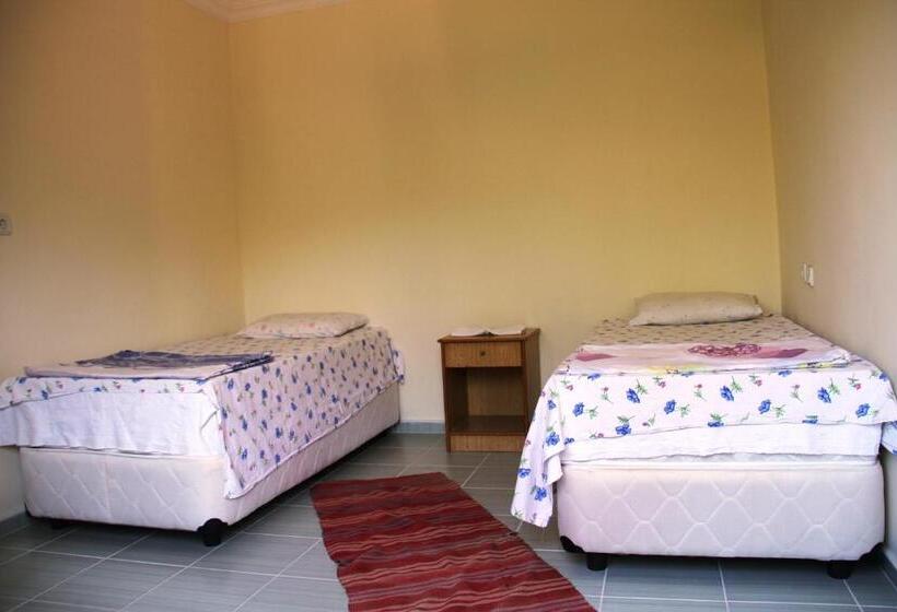 اتاق خانوادگی, Rose Hotel B&b