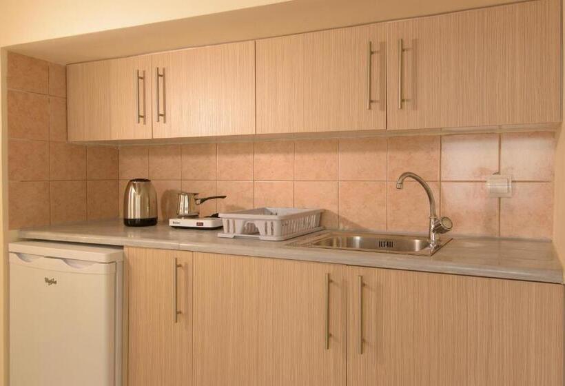 单卧家庭公寓, Ammoudara Beach Hotel Apartments