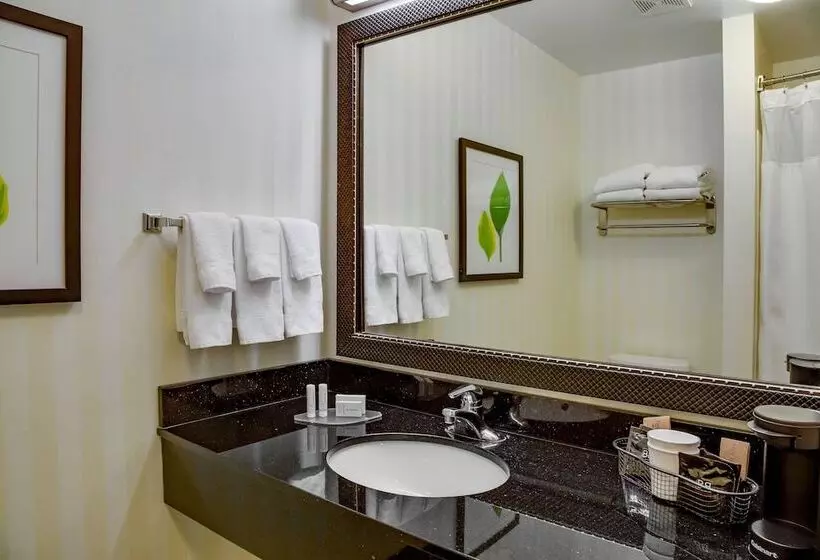 スタンダードスタジオ, Fairfield Inn & Suites Lake City