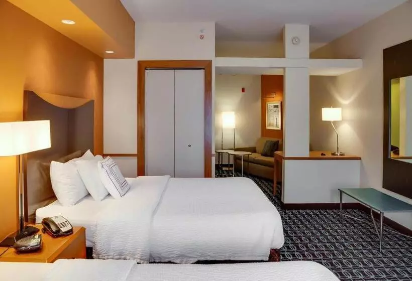 スタンダードスタジオ, Fairfield Inn & Suites Lake City