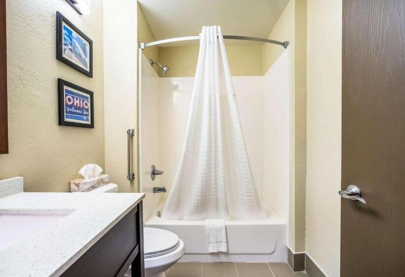 スタンダードルーム, Comfort Inn & Suites Fairborn Near Wright Patterson Afb