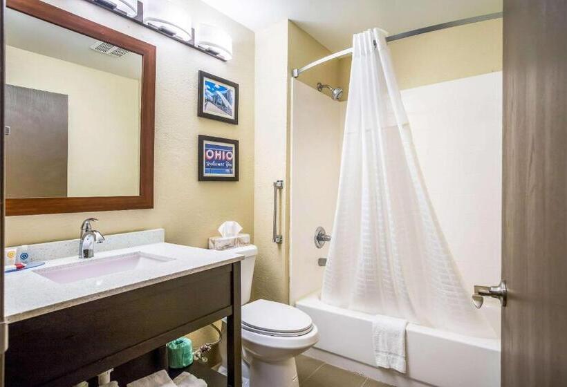 スタンダードルーム, Comfort Inn & Suites Fairborn Near Wright Patterson Afb