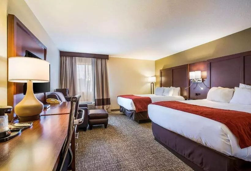 身障者適用スタンダードルーム, Comfort Inn & Suites Fairborn Near Wright Patterson Afb